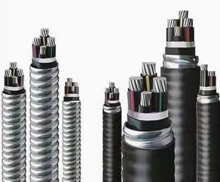 環市牌電纜 環市牌電纜